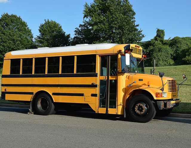 roselie-school-bus-2122395_640
